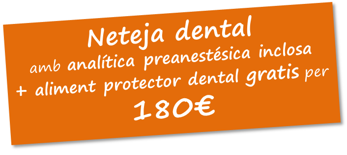 Promoció Neteja Dental